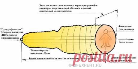 Реинкарнация - переселение души - перевоплощение. | Эксклюзив