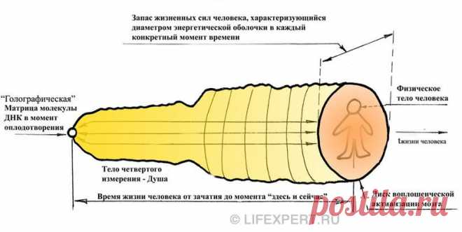 Реинкарнация - переселение души - перевоплощение. | Эксклюзив