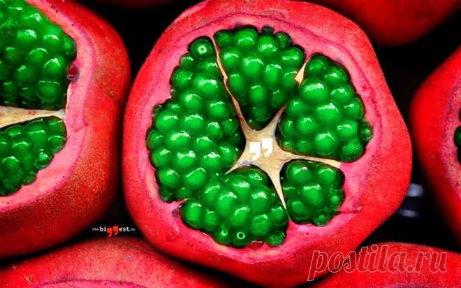 Самые необычные фрукты в мире, которые стоит попробовать (ФОТО) Взгляните на самые необычные фрукты в мире. Это не просто плоды экзотических растений, это удивительные по форме и содержанию фрукты.