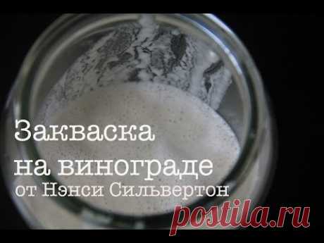 Как приготовить закваску для хлеба | Закваска на винограде