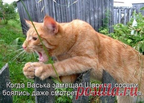 Интересные новости