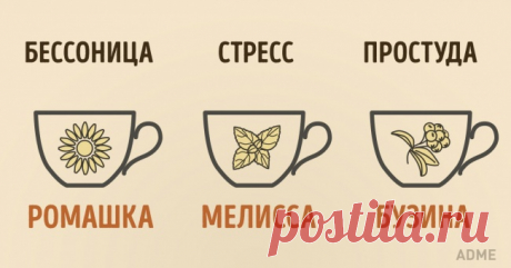 15 вещей, которых вы не знали о чае
