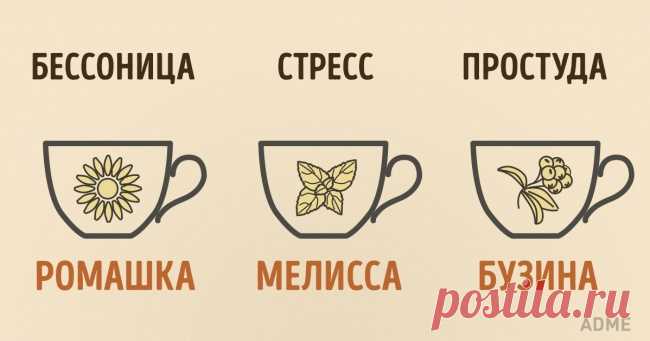 15 вещей, которых вы не знали о чае