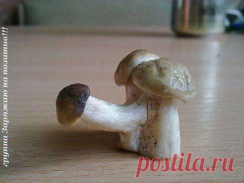 Светлана Артюхова
45 лет, Россия, Россия