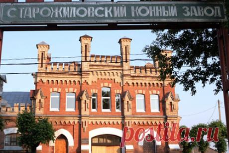 Россиянам рассказали о готическом замке под Рязанью. В часе езды от Рязани есть Старожиловский конный завод — здание, напоминающее замок и построенное в готическом стиле. Его спроектировал архитектор Федор Шехтель. Лошадей русской верховой породы здесь разводят более 150 лет. Комплекс включает в себя 12 зданий и дворец в соседнем селе Кирицы.