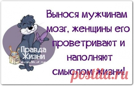 вынос мозга