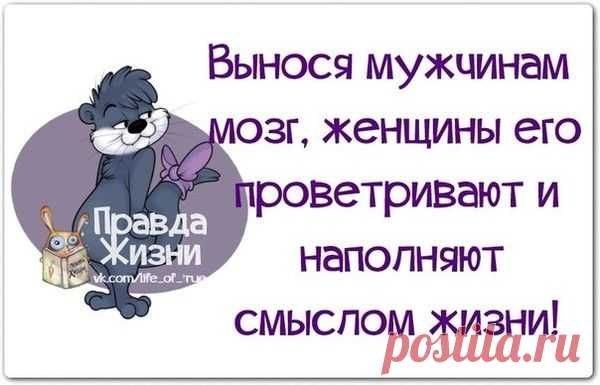 вынос мозга