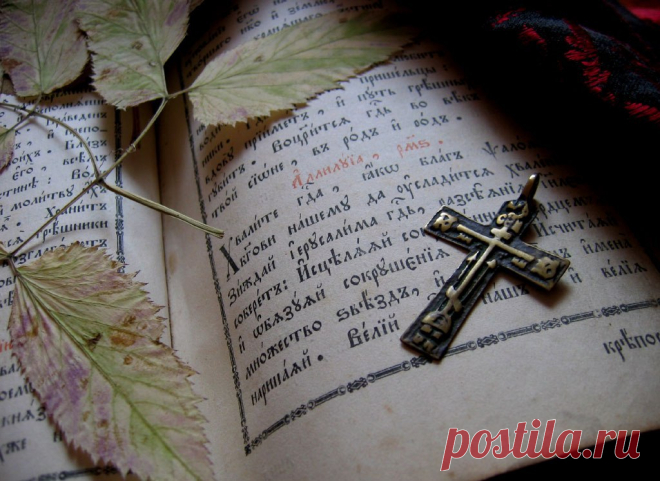 †ПОСТНАЯ ТРАПЕЗА. РОЖДЕСТВЕНСКИЙ ПОСТ. РЕЦЕПТЫ†