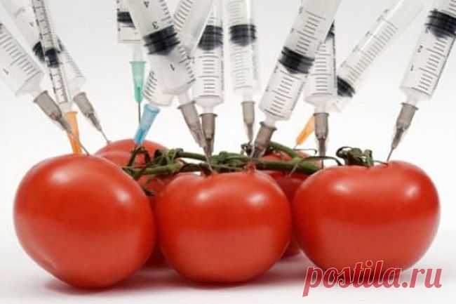 Депутаты "спрятали" ГМО от покупателей, подменив термин 
Продукты с ГМО у нас давно выращиваются, причем мы с вами об этом даже не знаем.

Депутаты Ростовской и Краснодарской областей возмутились решением правительства, разрешающем с июля использовать ГМ-семена в сельском хозяйстве. Естественно, для защиты нашего здоровья от сомнительных продуктов. Но «Труд» выяснил, что тут депутаты воюют с ветряными мельницами.