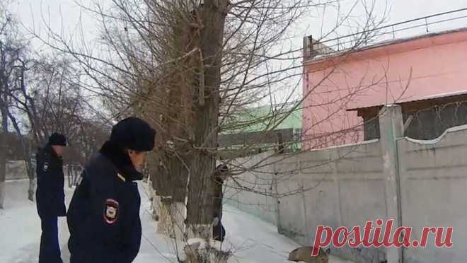 Окровавленную косулю, которая едва не замерзла в сугробе, спасли омские полицейские. В Кировском округе Омска сотрудники полиции спасли раненую косулю, травмированное животное не могло двигаться и едва не замерзло в сугробе. Об этом сообщается в Telegram-канале "МВД Медиа". Сообщение о раненом животном в ...