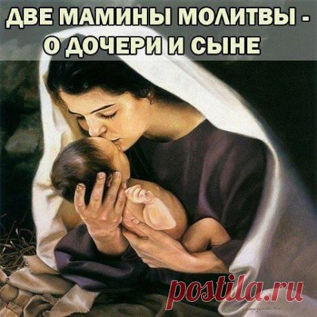 (27) Одноклассники