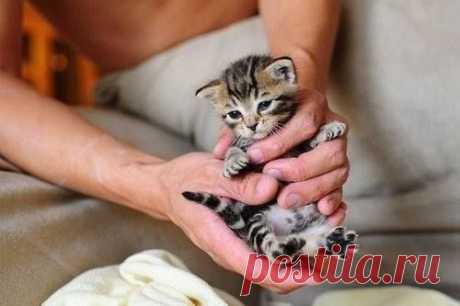 (9) Facebook