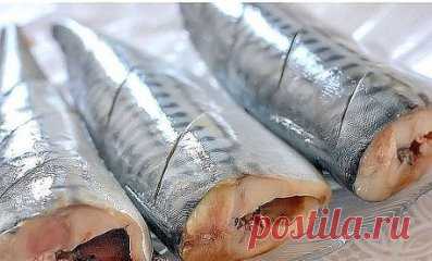 ➊ ДВА ЛУЧШИХ РЕЦЕПТА ФАРШИРОВАННОЙ СКУМБРИИ
Очень вкусная рыбка - сытная. И начинка великолепно сочетается со вкусом скумбрии. 
Ингредиенты: 
Скумбрия замороженная 3 шт 
вареные яйца 2 шт 
Сыр 50 гр 
Петрушка 4-5 веточек 
Лимон ½ шт 
Цедра лимона 1 ч.л 
Чеснок 1 зубчик 
Соль 
Перец 
Приготовление: 
Скумбрию необходимо разморозить, удалить внутренности и хорошенько вымыть. Теперь делаем диагональные разрезы на тушке на расстоянии 3-4 см друг от друга. Получается 3-4 разреза. Солим и 
Яйца и сыр н