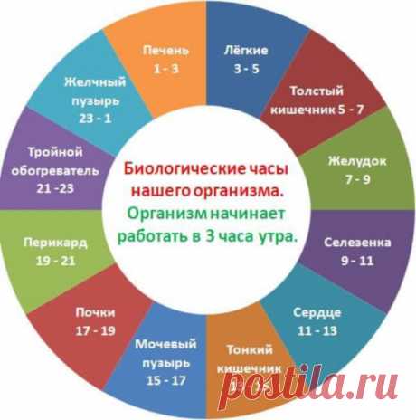 Поддержите почки в часы «Ю-ши» стаканом чистой воды! - Страна Полезных Советов - медиаплатформа МирТесен Напоить почки: 17.00-19.00 — часы «Ю-ши» В это время активен меридиан почек. Следует увеличить количество питья, чтобы ускорить выведение из организма вредных и ненужных веществ. Вода помогает очистить почки и мочевой пузырь, а также предотвратить болезни почек. В часы «Шэнь-ши» (15:00–17:00...