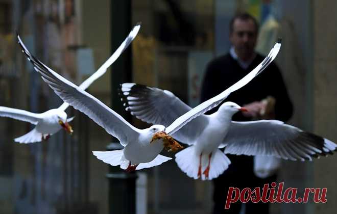 Фотохроника 20 июля - фото 3 из 10