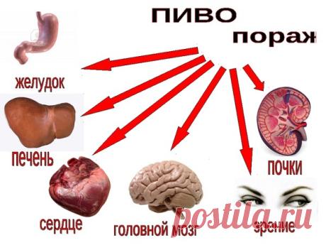 Обсуждения - Amitrips - Группы Мой Мир