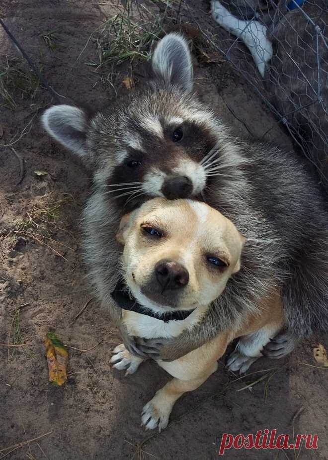Фотографии, которые говорят больше чем слова!