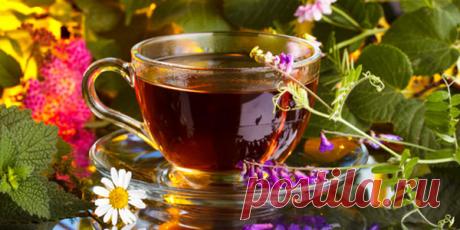 Лучшие травяные чаи для здоровья
