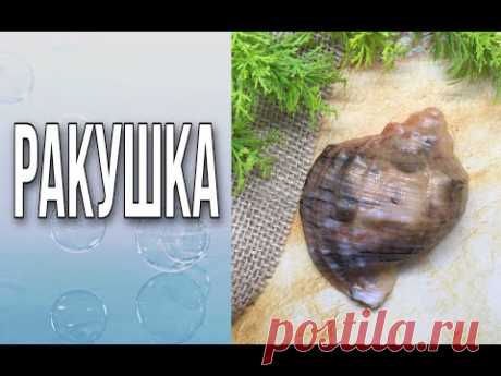 Мыло «Ракушка»/Мыловарение/Soap