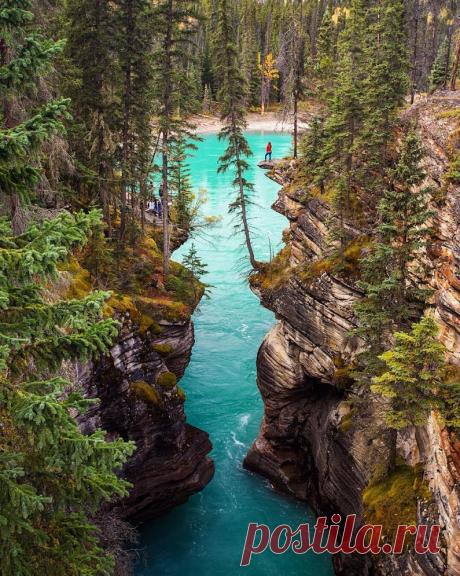 Google+
Водопады Атабаска, Канада