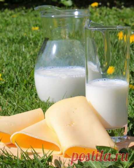 Как правильно поливать грядки молоком и зачем это нужно