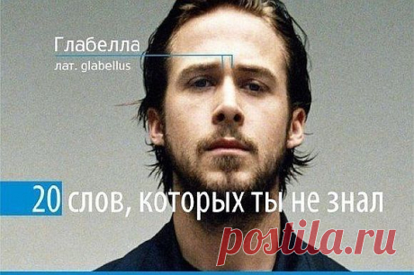 20 слов, которых вы не знали |