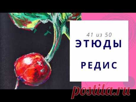 4️⃣1️⃣ РЕДИС (сухая пастель). Серия «50 этюдов»