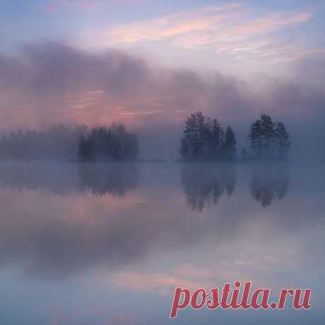 (44) Одноклассники