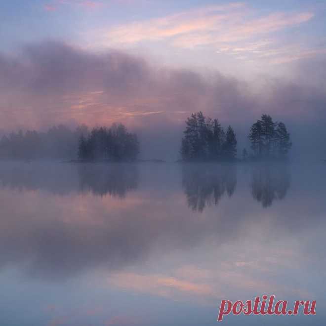 (44) Одноклассники