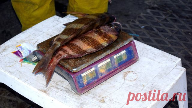 Поддержи Израиль
Эдуард Кучук
