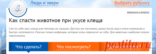 Как спасти животное при укусе клеща

Сам по себе укус клеща для питомца не страшен. Достать его несложно, ранка после укуса очень маленькая и быстро затягивается. Опасны только инфекции, которые клещ переносит на себе. Для животных наиболее опасен пироплазмоз.