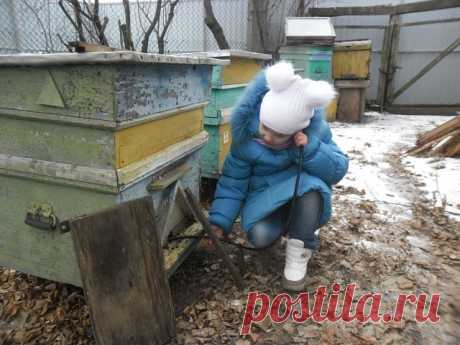 (15) Одноклассники