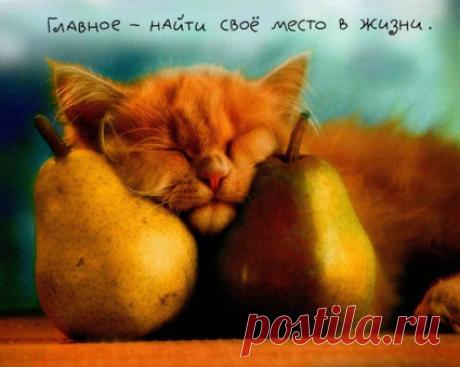чудо в грушах