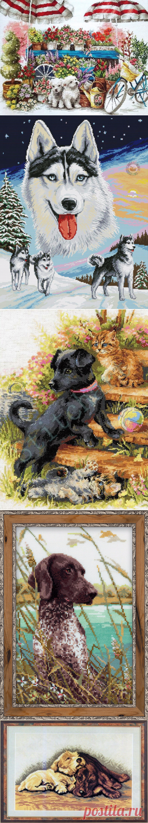 ___СОБАКИ КОТЯТА | Записи в рубрике ___СОБАКИ КОТЯТА | Дневник RitaVoytik