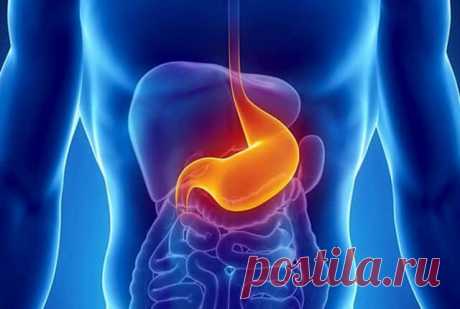 Рак Желудка – Симптомы, Признаки, Стадии, Диагностика и Лечение Рак желудка – распространенное онкологическое заболевание, которое наряду с раком легкого, толстой кишки и раком груди занимает лидирующие позиции в структуре онкозаболеваний в России. В основе болезни лежит злокачественное перерождение клеток слизистой желудка, в результате чего на стенке пищеварительного органа появляется онкологическая опухоль.
Статистика говорит о том, что у мужчин заболевание встречается ...