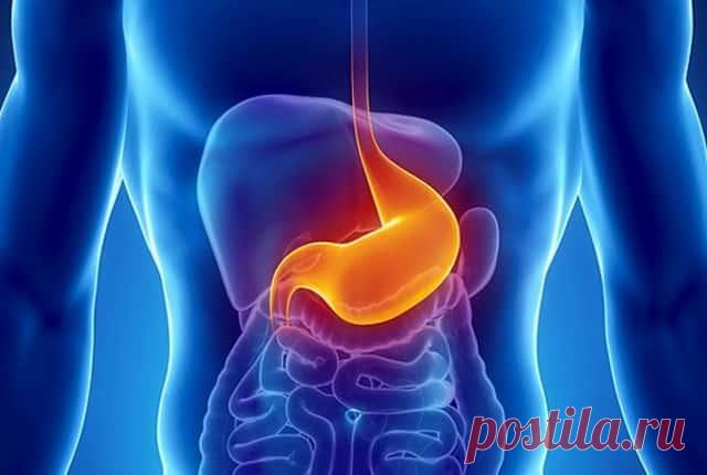 Рак Желудка – Симптомы, Признаки, Стадии, Диагностика и Лечение Рак желудка – распространенное онкологическое заболевание, которое наряду с раком легкого, толстой кишки и раком груди занимает лидирующие позиции в структуре онкозаболеваний в России. В основе болезни лежит злокачественное перерождение клеток слизистой желудка, в результате чего на стенке пищеварительного органа появляется онкологическая опухоль.
Статистика говорит о том, что у мужчин заболевание встречается ...