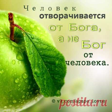 ♥...Агапэ...♥
Наш Отец Небесный до тех пор не перестает звать, предостерегать и уверять в Своем сострадании, пока дальнейшее предоставление возможностей и преимуществ не станет совершенно напрасным. Ответственность лежит на грешнике. Противясь сегодня Духу Божьему, он готовит почву для повторного сопротивления свету, который воссияет еще ярче. Так грешник переходит от одной ступени сопротивления к другой, пока наконец никакой свет не будет производить на него впечатления и он совершенно переста