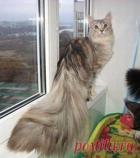 ххх