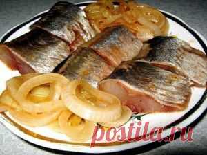 СЕЛЕДКА - ОТЛИЧНЫЙ СПОСОБ ЗАСОЛКИ /// Добавил в закладки,обязательно попробую. - "Ваши любимые рецепты" - bondarevati@mail.ru - Почта Mail.Ru