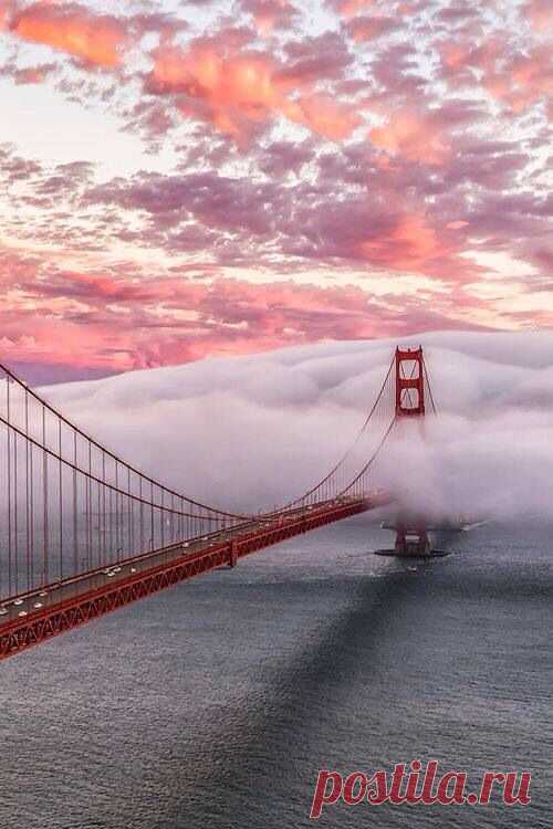 Golden Gate Bridge in fog and sunrise | travel