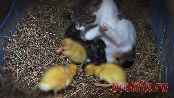 Интересные новости