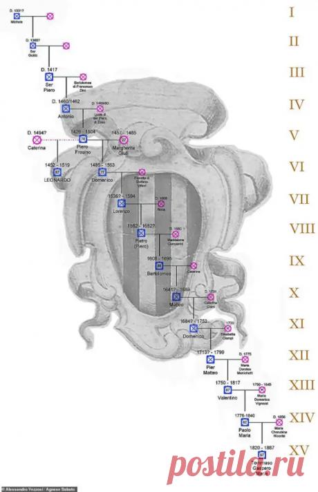 Историки восстановили генеалогическое древо Леонардо да Винчи. Это поможет, наконец, решить загадки, связанные с его личностью - Наука и техника - медиаплатформа МирТесен