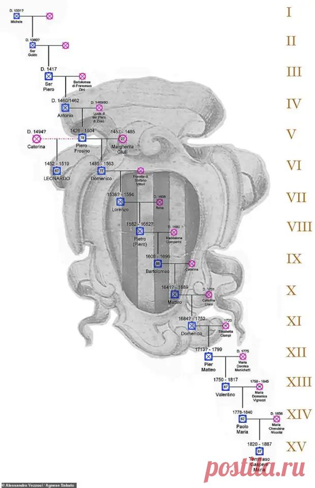 Историки восстановили генеалогическое древо Леонардо да Винчи. Это поможет, наконец, решить загадки, связанные с его личностью - Наука и техника - медиаплатформа МирТесен