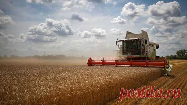 ЦБ прорабатывает возможность создания зерновой биржи стран БРИКС