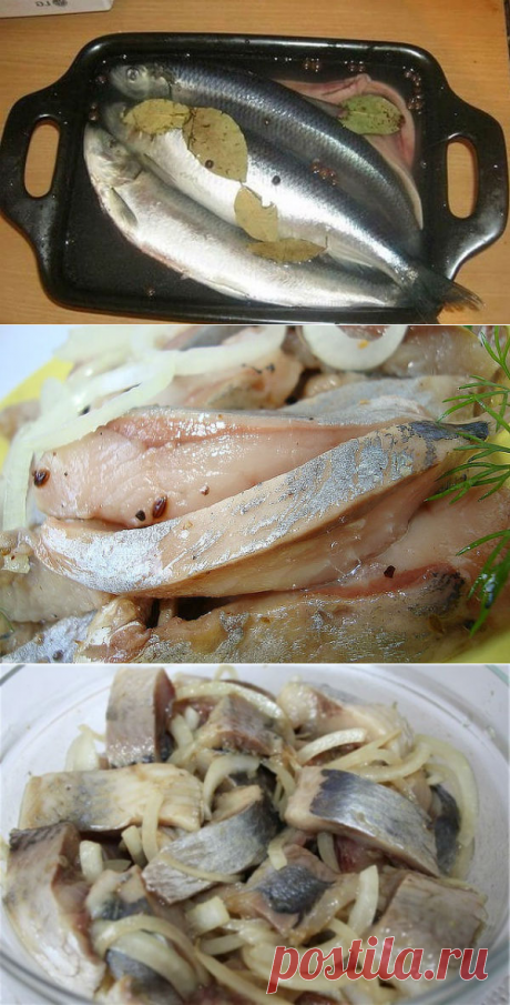 Как посолить селедку в домашних условиях вкусно и быстро