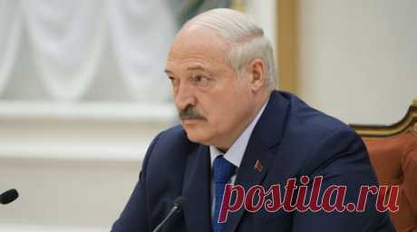 Лукашенко обсудил с президентом ОАЭ реализацию двусторонних проектов. Реализацию двусторонних проектов обсудили президент Белоруссии Александр Лукашенко с коллегой из Объединённых Арабских Эмиратов (ОАЭ) шейхом Мухаммедом бен Заидом Аль Нахайяном. Читать далее
