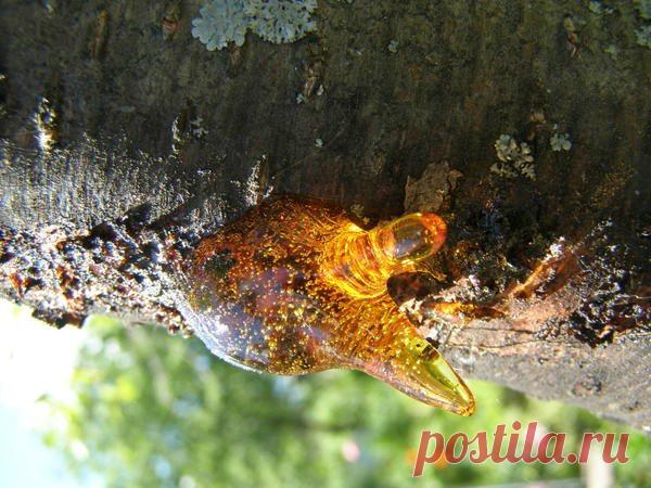 ЧТО ТАКОЕ КАМЕДЕТЕЧЕНИЕ И КАК ЕГО ПОБЕДИТЬ