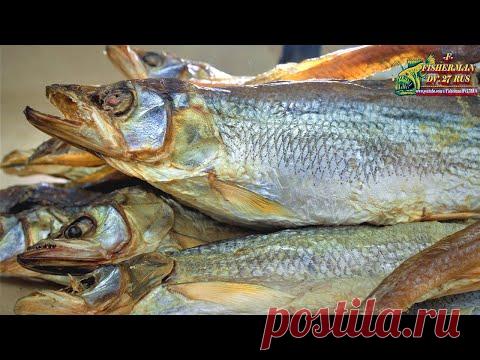 Солить корюшку просто, сухой и мокрый посол, два рецепта засолки корюшки, зубаря.