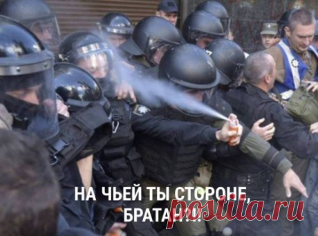 Смешные комментарии из сетей. Анекдоты