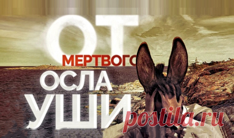 Столетие Тартуского мира. Эстония открывает ящик Пандоры - Подробно о главном - медиаплатформа МирТесен